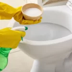toilet cleaning solution