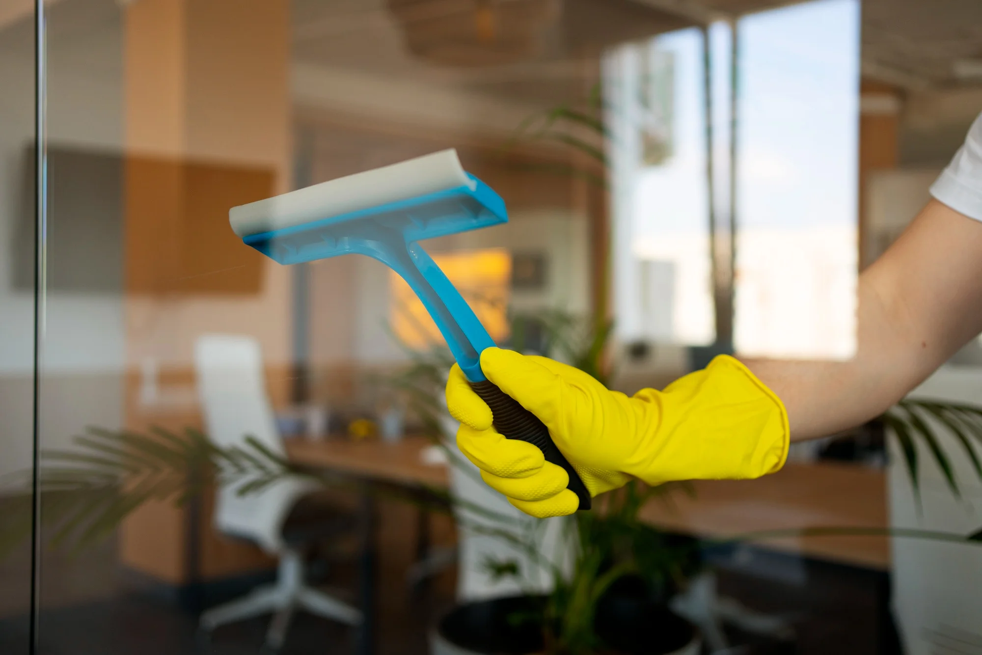 Professional House Cleaning Services